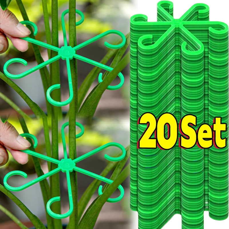Plant Support Stake - Piquets de Support de tige de