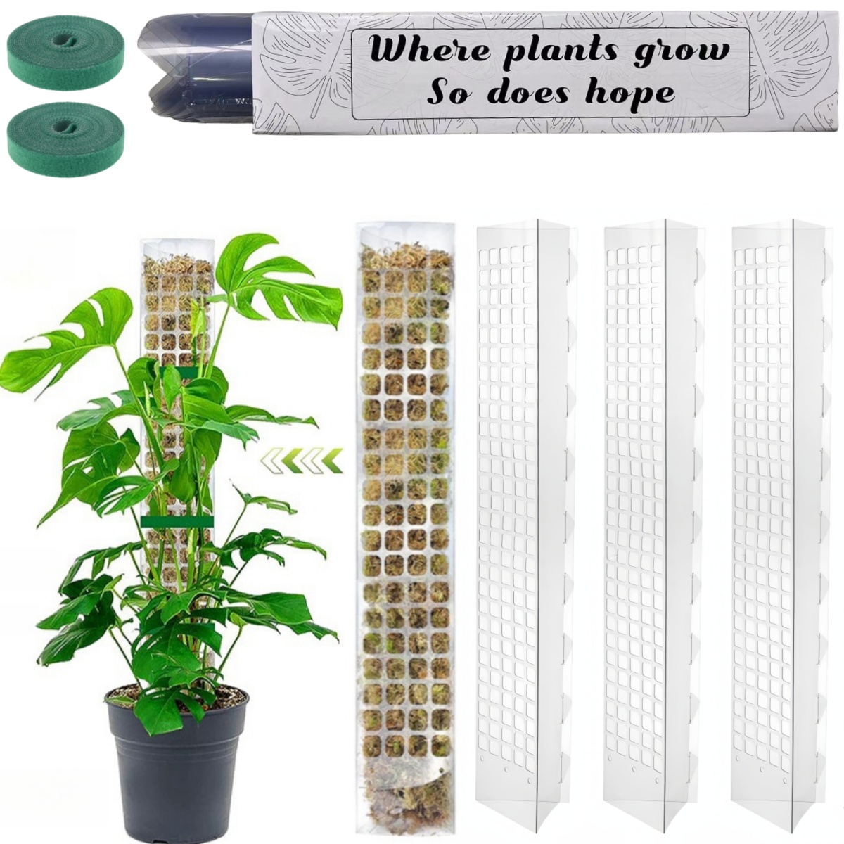 Plant Support Stake - Support de plantes en plastique, poteau