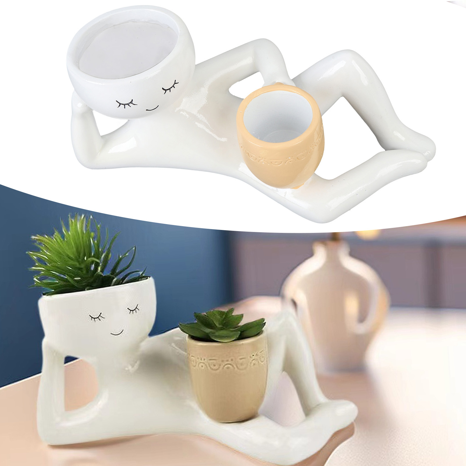 Succulent Set - Pot succulent créatif et respirant en