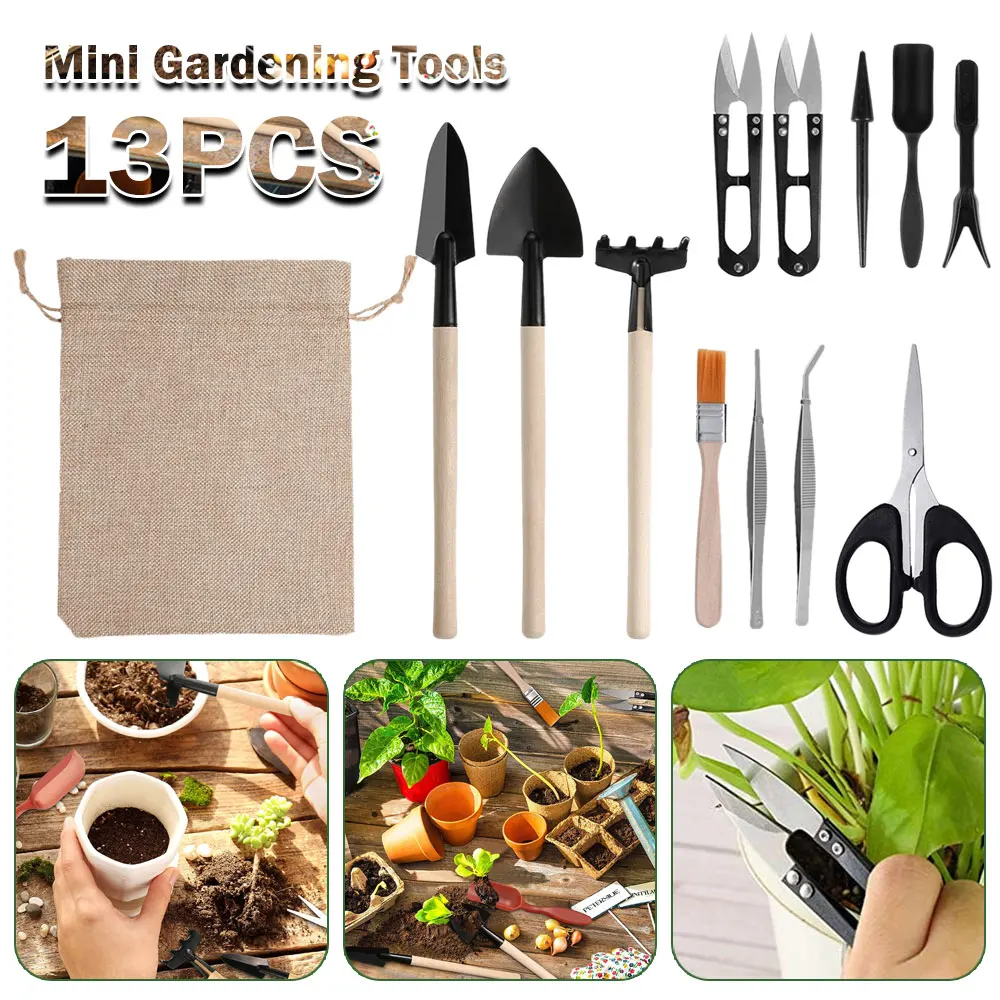 Succulent Set - Ensemble d'outils pour plantes succulentes, kit