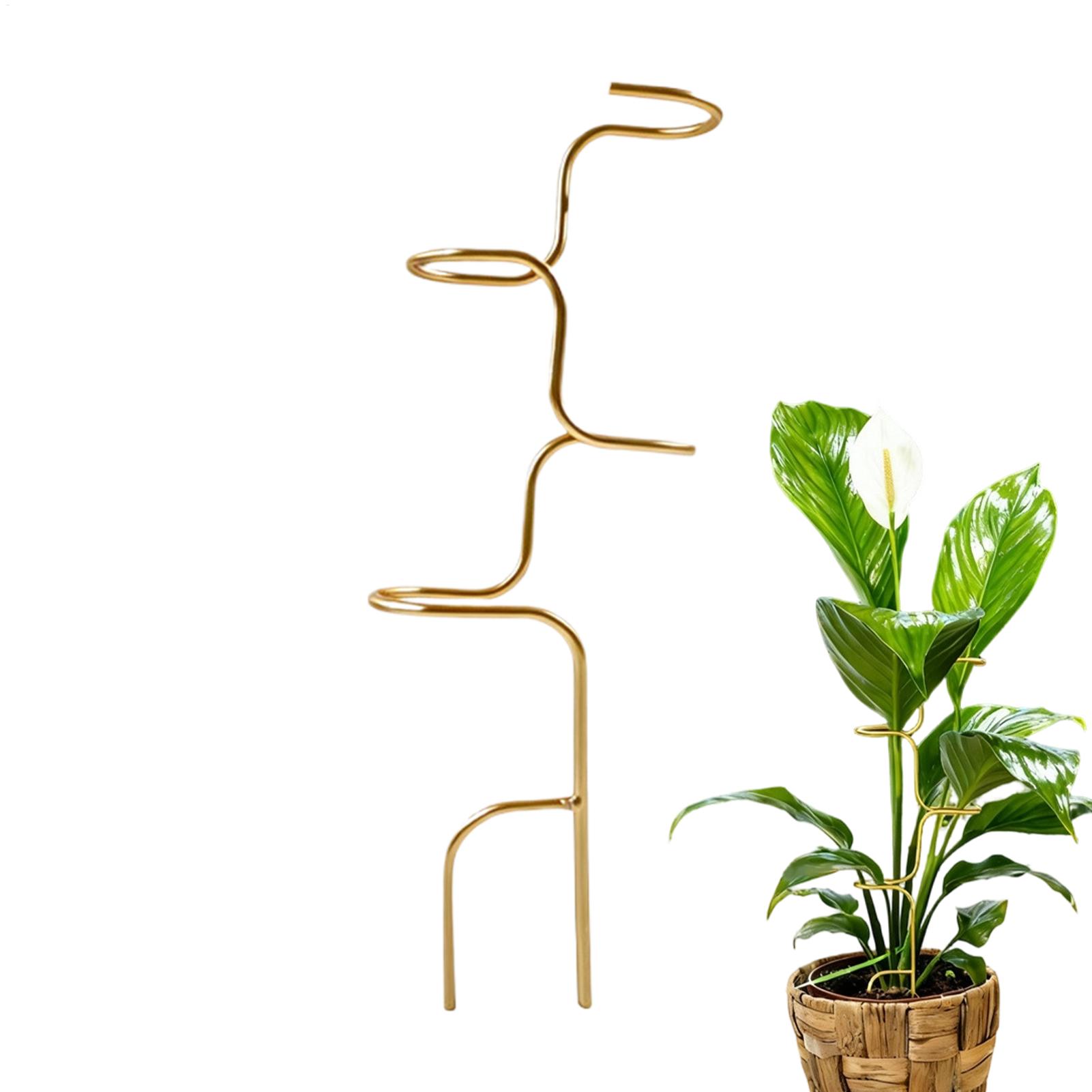 Plant Support Stake - Support de fixation pour tiges de