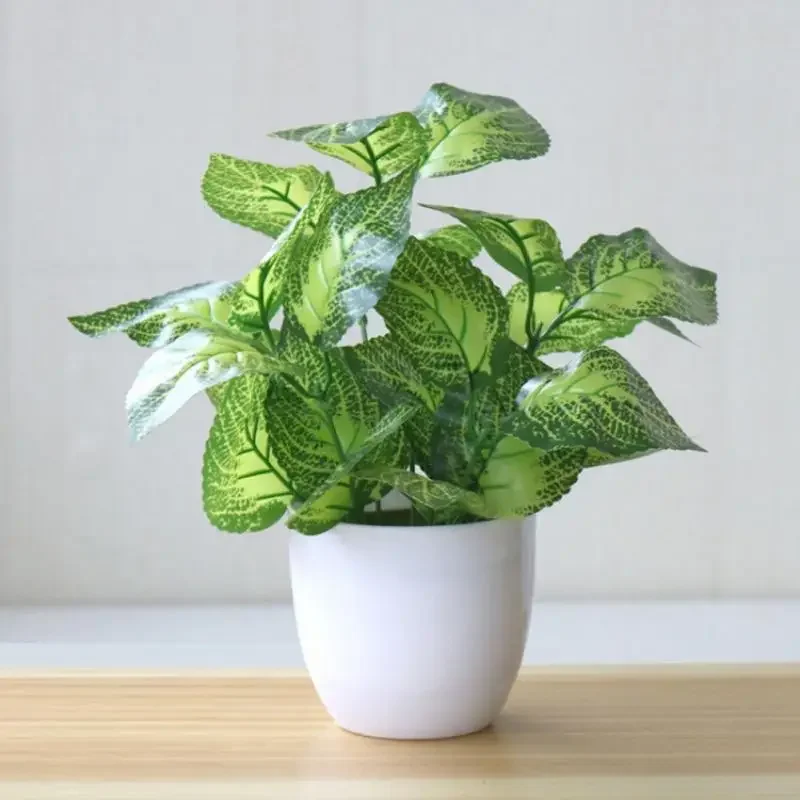 Snake Plant - Plantes artificielles, bonsaïs, plantes décoratives, accessoires