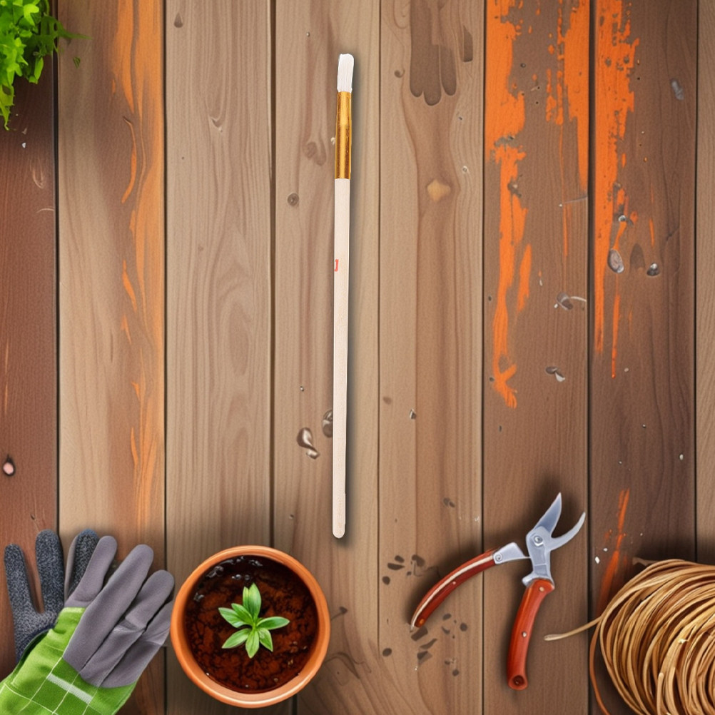 10 brosses de pollinisation po - Indoor Plants avis et prix