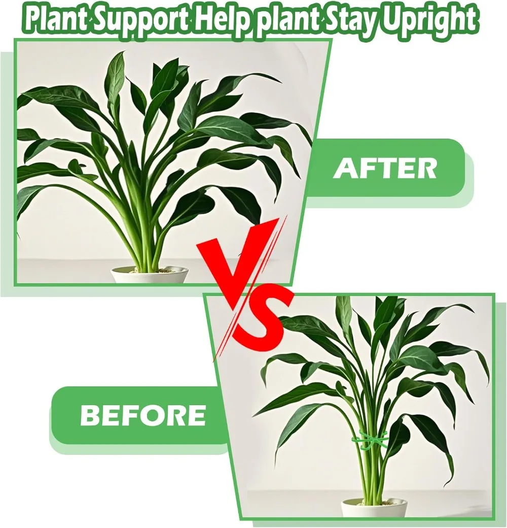 Piquets de Support de tige de  - Plant Support Stake avis et prix
