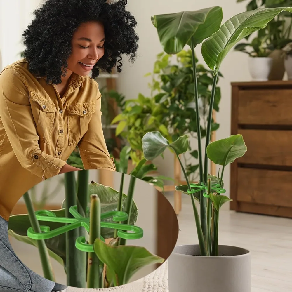 Piquets de Support de tige de  - Plant Support Stake avis et prix