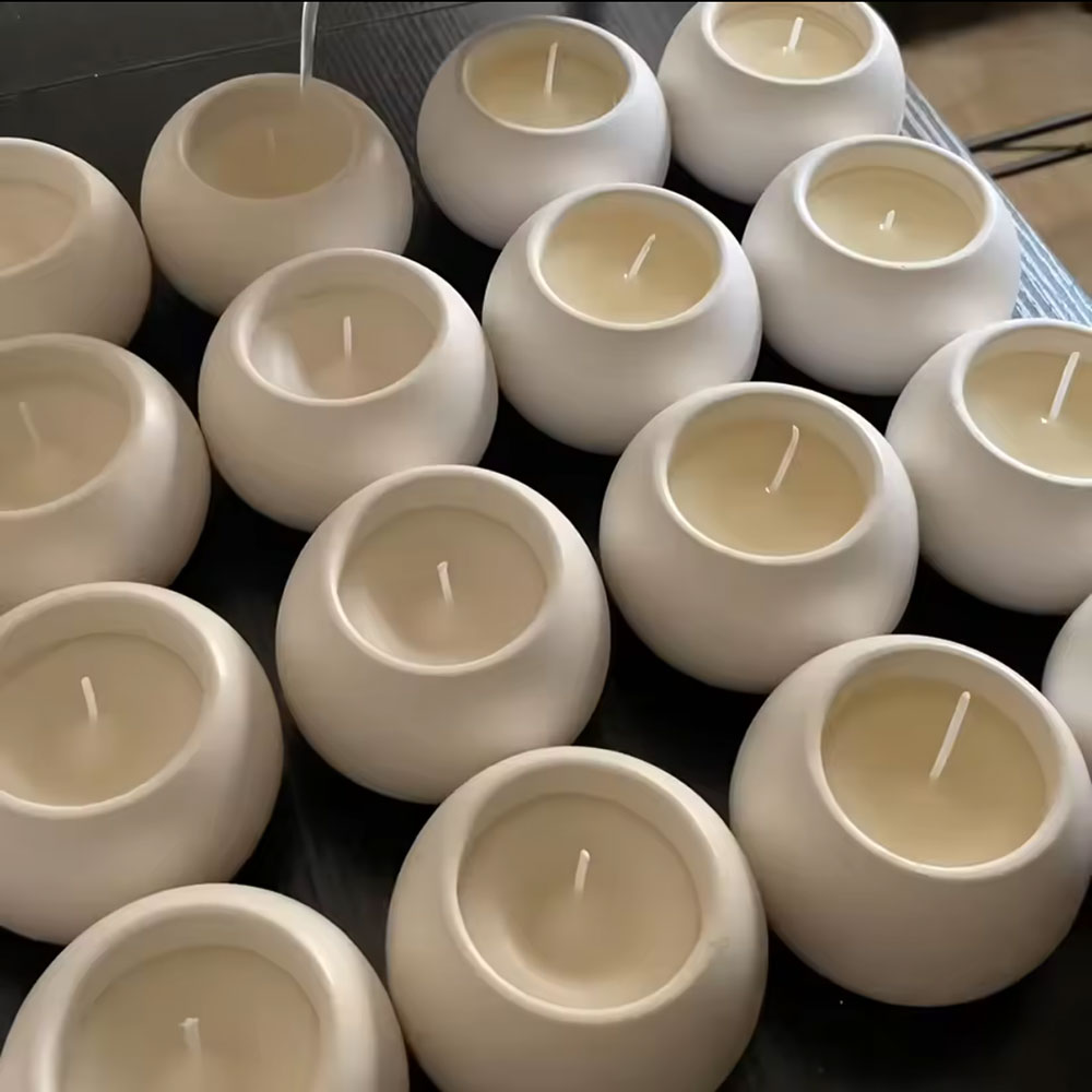 Moule en silicone pour fabriqu - Succulent Set avis et prix