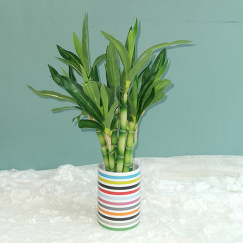 Nouvelle plante artificielle B - Succulent Set avis et prix