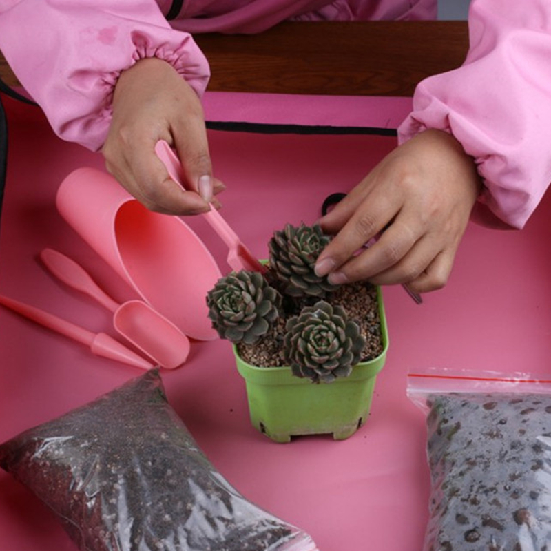 Kit de jardinières de jardin,  - Succulent Set avis et prix