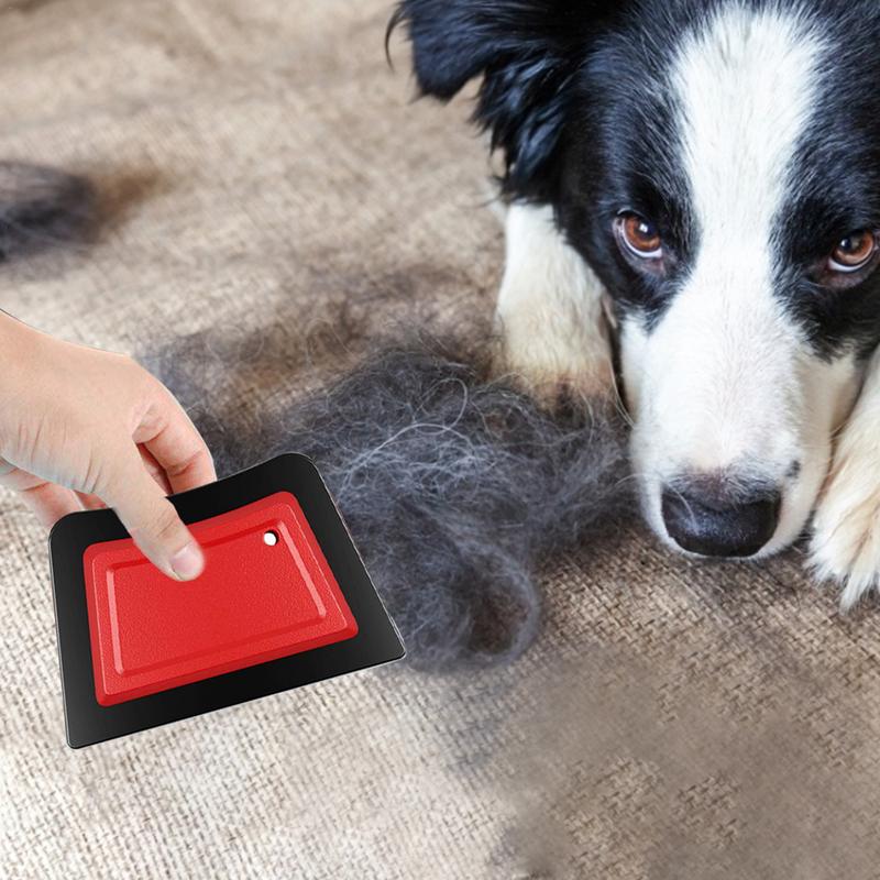 Peigne épilateur pour animaux  - Repotting Mat avis et prix