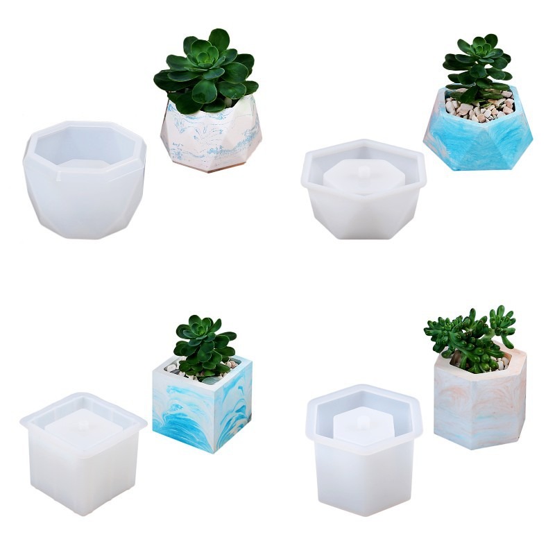 Pot de fleurs succulentes en S - Succulent Set avis et prix