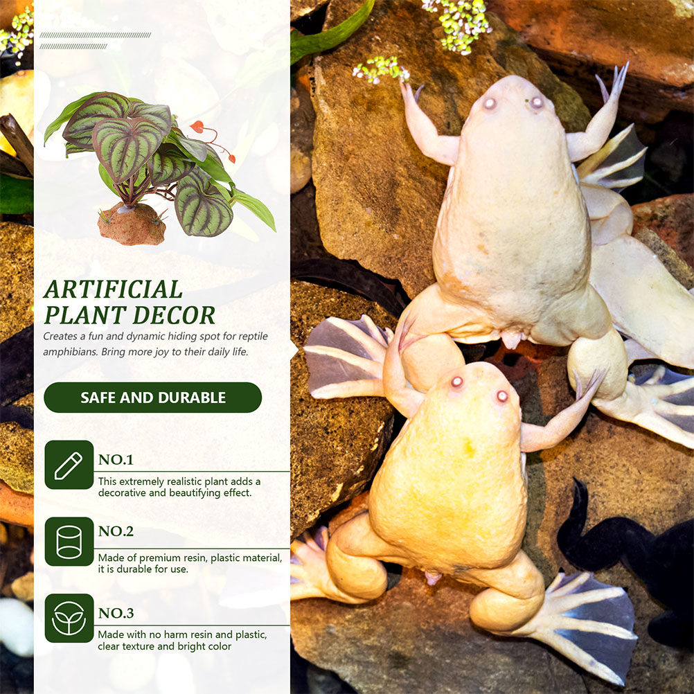 Plantes de terrarium artificie - Snake Plant avis et prix
