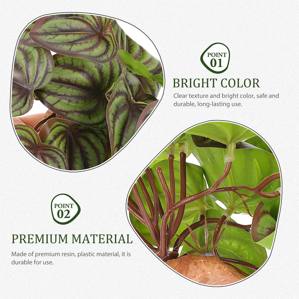 Plantes de terrarium artificie - Snake Plant avis et prix