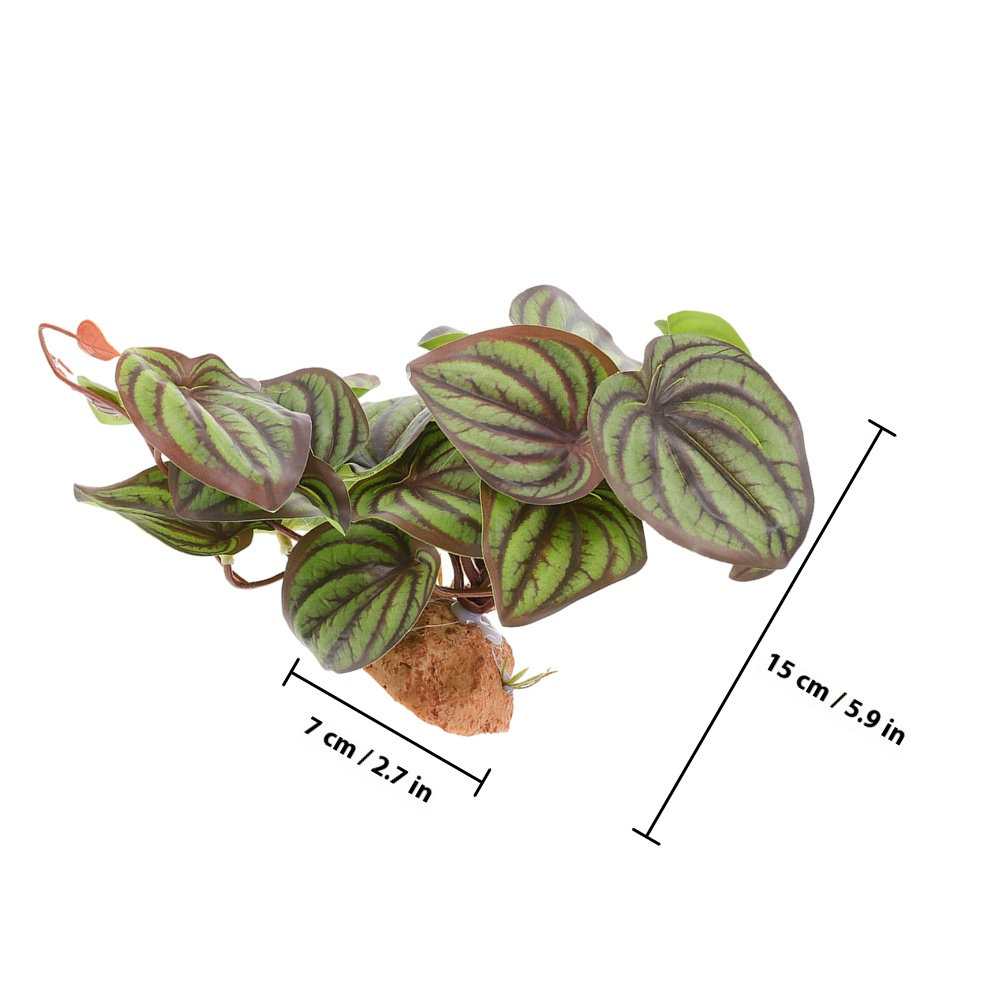 Plantes de terrarium artificie - Snake Plant avis et prix