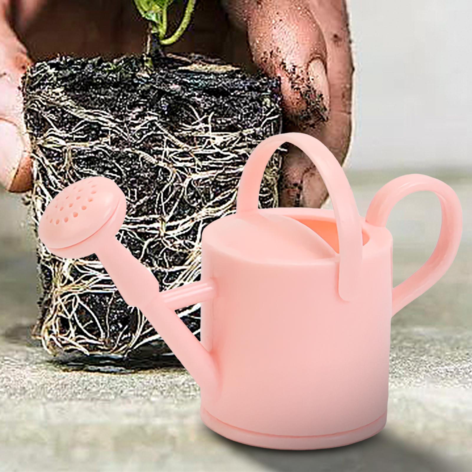 Arrosoir flexible pour enfants - Succulent Set avis et prix