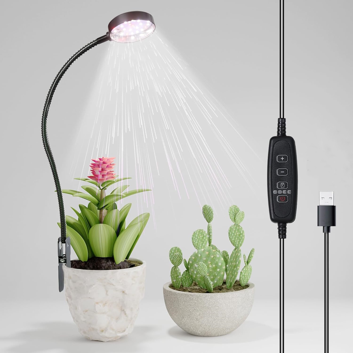 Lampe de culture LED USB 6000K - Pothos avis et prix