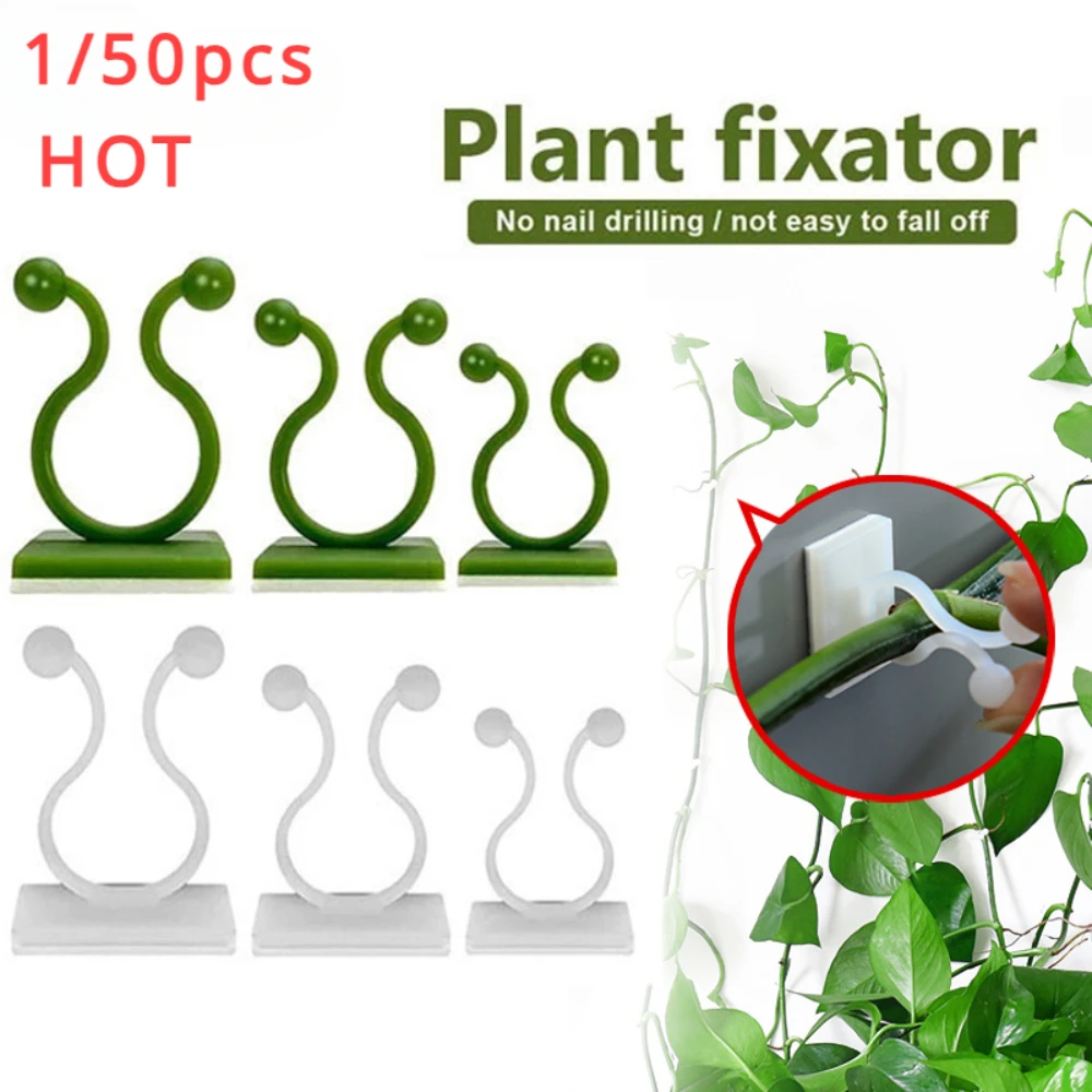 1/30/50 pièces pour accessoire - Plant Support Stake avis et prix