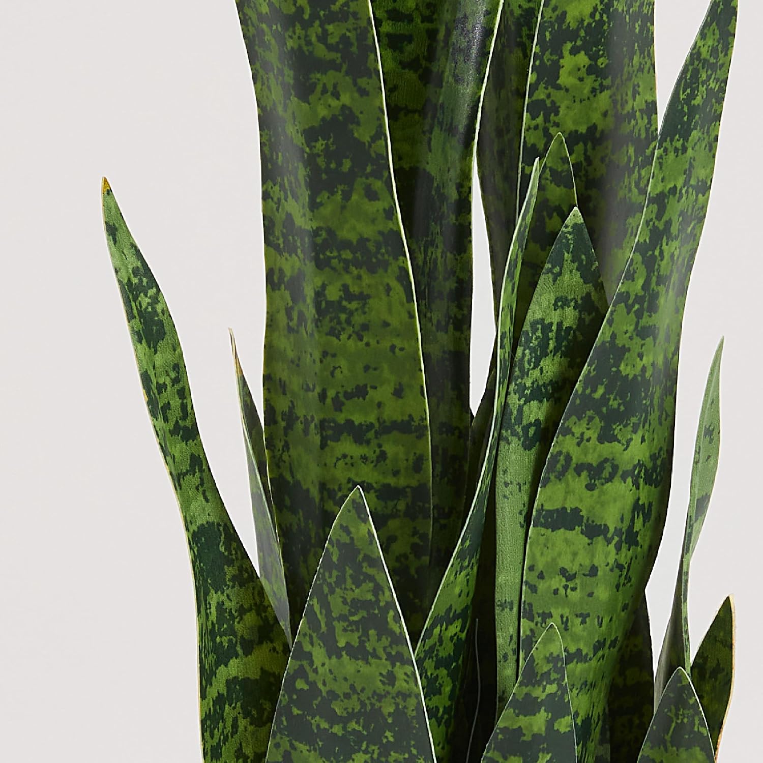 Plante artificielle de type «  - Snake Plant avis et prix