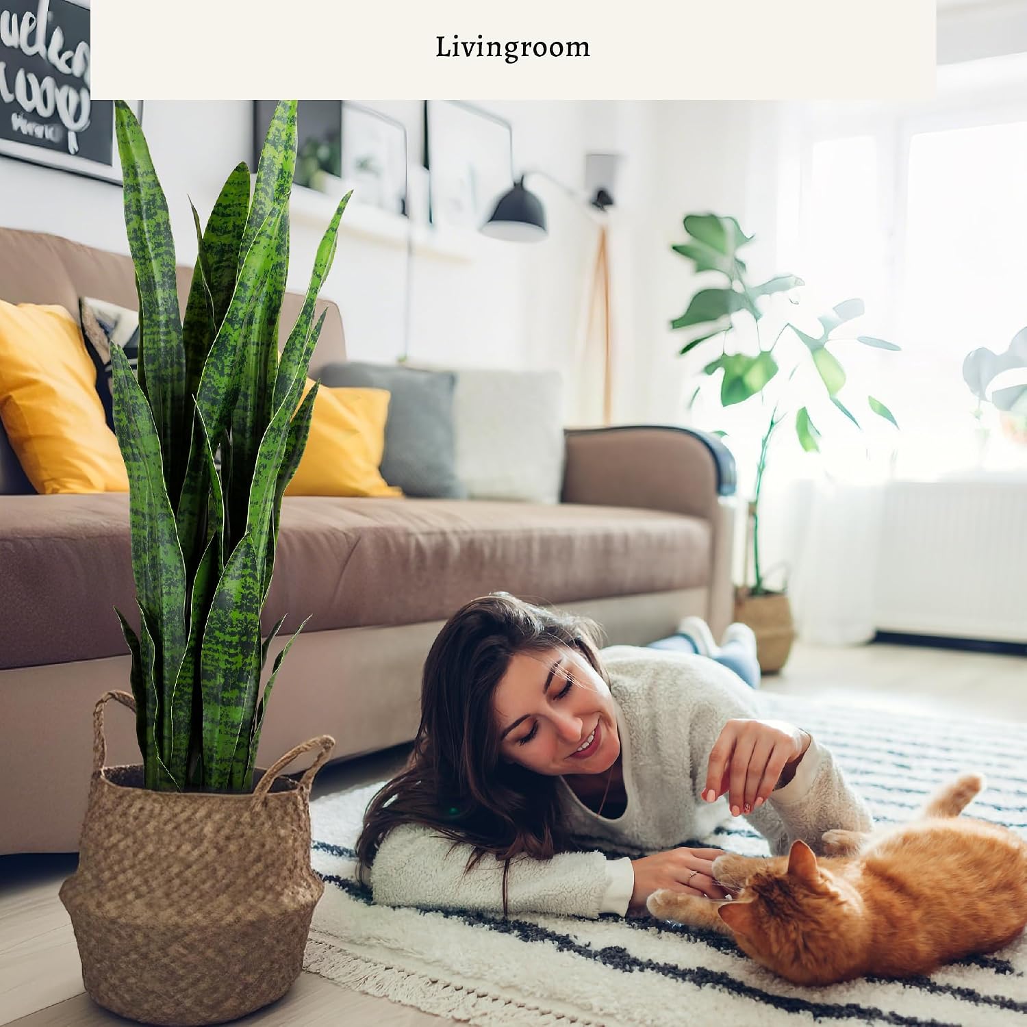 Plante artificielle de type «  - Snake Plant avis et prix