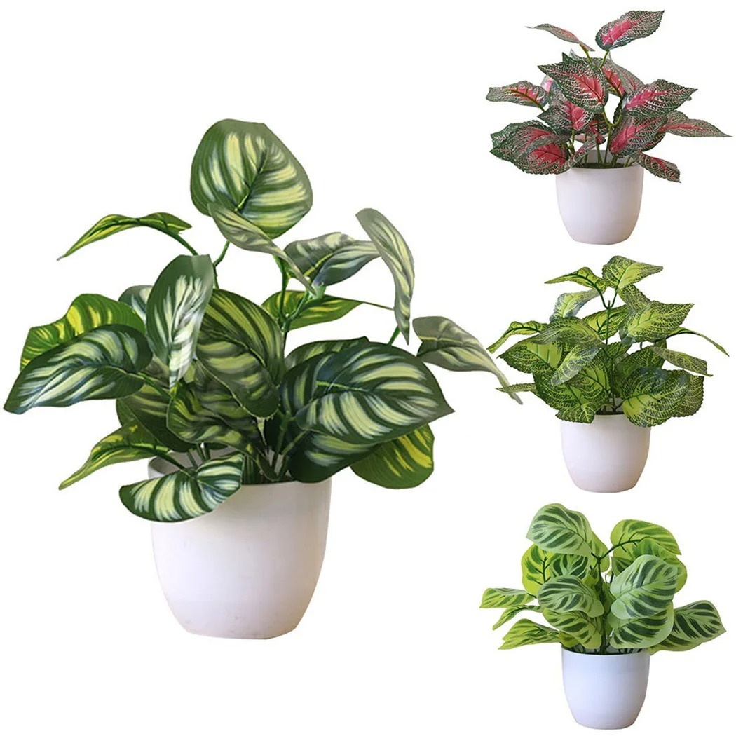 Pot de plantes à feuillage art - Snake Plant avis et prix
