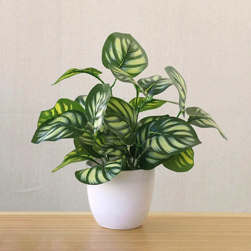 Pot de plantes à feuillage art - Snake Plant avis et prix