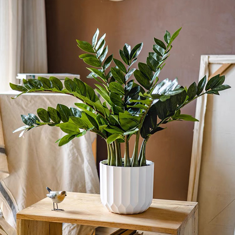 Grandes Plantes de Ficus Artif - Snake Plant avis et prix