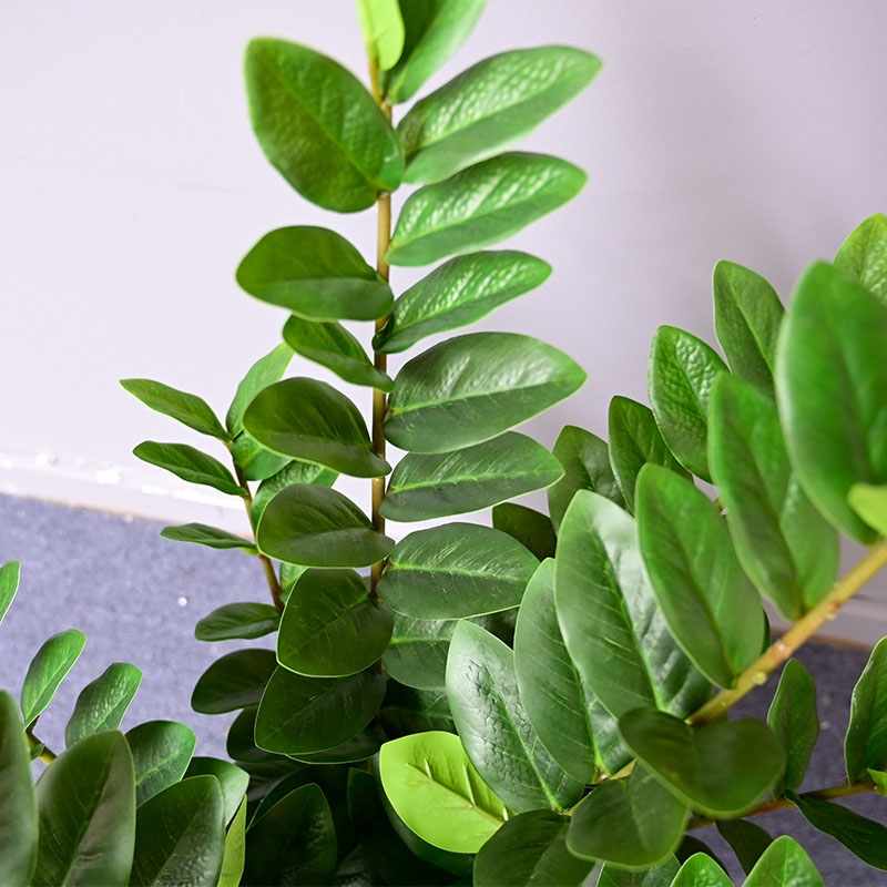 Grandes Plantes de Ficus Artif - Snake Plant avis et prix
