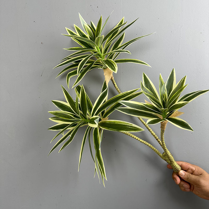 Plantes vertes simulées 3 tête - Snake Plant avis et prix