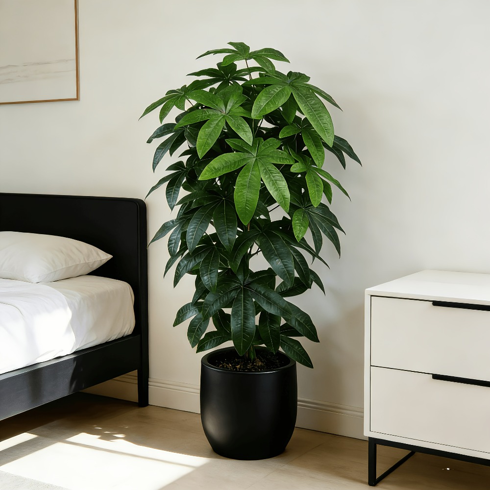 Un arbre à monnaie artificiel  - Succulent Set avis et prix